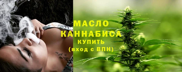 твердый Михайлов