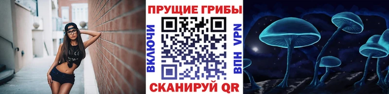 дарк нет клад  ОМГ ОМГ ссылки  Тольятти  Галлюциногенные грибы Magic Shrooms 