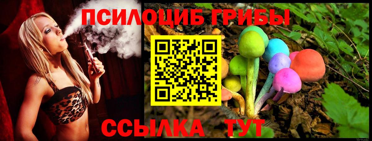 Галлюциногенные грибы Psilocybe  Тольятти  Псилоцибиновые грибы Psilocybine cubensis 